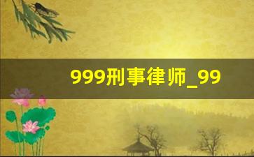 999刑事律师_99.9:刑事专业律师第一季 演员